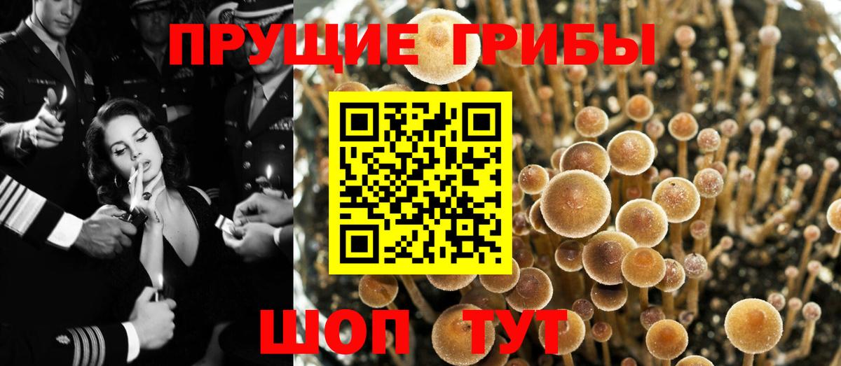 Галлюциногенные грибы ЛСД  Вход с VPN  Сунжа 